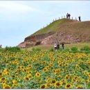 연천 호로고루 이미지