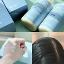 비듬 샴푸 추천 루트헤어 솔트 스칼프 스케일링 샴푸 헤어 팩 리얼 후기