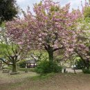 동화공원경로당 이미지