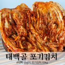 태백고냉지 | 태백 고냉지 배추 포기김치 10kg 택배 주문 후기