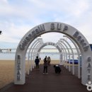 광안테마거리 이미지