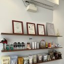 도그살롱올치 이미지