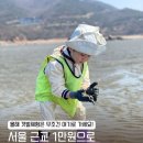 연명어촌체험마을 | [인천 갯벌체험] 트랙터 타고 조개 명당으로! 포내어촌체험마을 아이와 함께한 솔직 후기