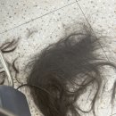 꾸뜨 | 의정부역 미용실 의정부미용실레이어드펌 후기 '꾸뜨헤어'