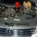 카데렐라 이미지