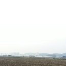 머리산책