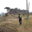 노안삼도로 이미지