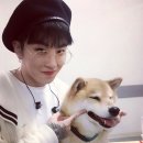 태일장식