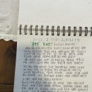 귤나잇 이미지