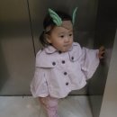 꼬민이네