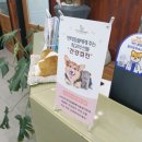 아프리카동물병원 이미지