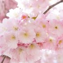 살랑살랑 이미지