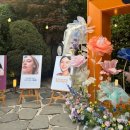 스킨갤러리 - 성북구 길음로9길 50 | 스킨갤러리