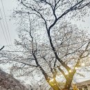장군봉공영주차장 주변 이미지