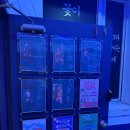 (주)라이프에이치 | 에이치짐 청량리점, 24시간 운영하는 청량리헬스장의 매력