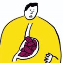 캐리영어 | 전화 / 화상 영어 무료 체험 후기들