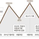 씨엔케이인터내셔널 세계일보