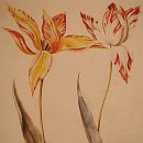 보태니컬 아트 이미지