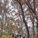 동백복싱클럽 이미지