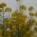 노벨리조트 이미지