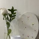 정도인터내셔널㈜ 태장점 | 고체탈취제 추천 모노아워 펫프랜들리 실내탈취제 실사용후기