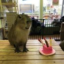 옥천쉼터화장실 | 모든 하늘은 무대이고, 모든 삶은 이야기라는 걸!