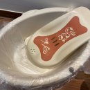 와튼젤리 산후조리원(용산마포점) 이미지