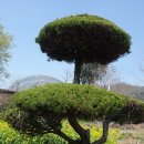 만덕초등학교 이미지