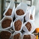 김창기머쉬룸팜 이미지