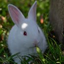 경북의료재단 경북의원 이미지