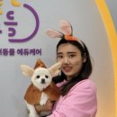 털로덮인 친구들 이미지