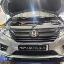 제틀리시(zartlich) 이미지