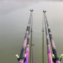 호암지낚시터 이미지