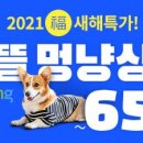 애완상회 이미지