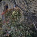 행정사 사무소 고래 이미지