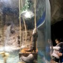 제주도 아쿠아리움 이미지