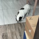 차곰차곰 이미지