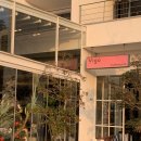 비고리조트 9 이미지