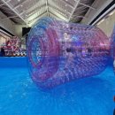 바운스라이브 | 키즈월드 : 주말 아이들과 실내에서 놀기 좋은 키즈카페, 24개월미만 무료, 에어바운스, 놀이동산 테마파크