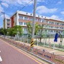 주정차-18 이미지