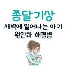 종달기상, 새벽에 아기가 일찍 깨는 현상? 뜻과 원인, 해결법