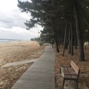 등명해변(철길옆) 이미지