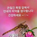 어느 부부의 외식 이미지