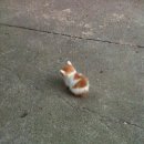 조은피씨방 이미지