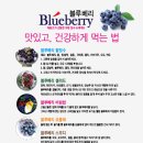 화산농원 이미지