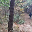 가야유원지 등산로 이미지