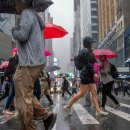 엄지세탁소 이미지