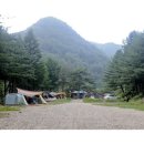 자개골캠핑장 이미지