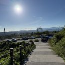 송정박상진호수공원 제1공영주차장 공중화장실 | 울산 북구 박상진호수공원 카페 지관서가 주차 산책로