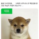 킁카킁카 이미지